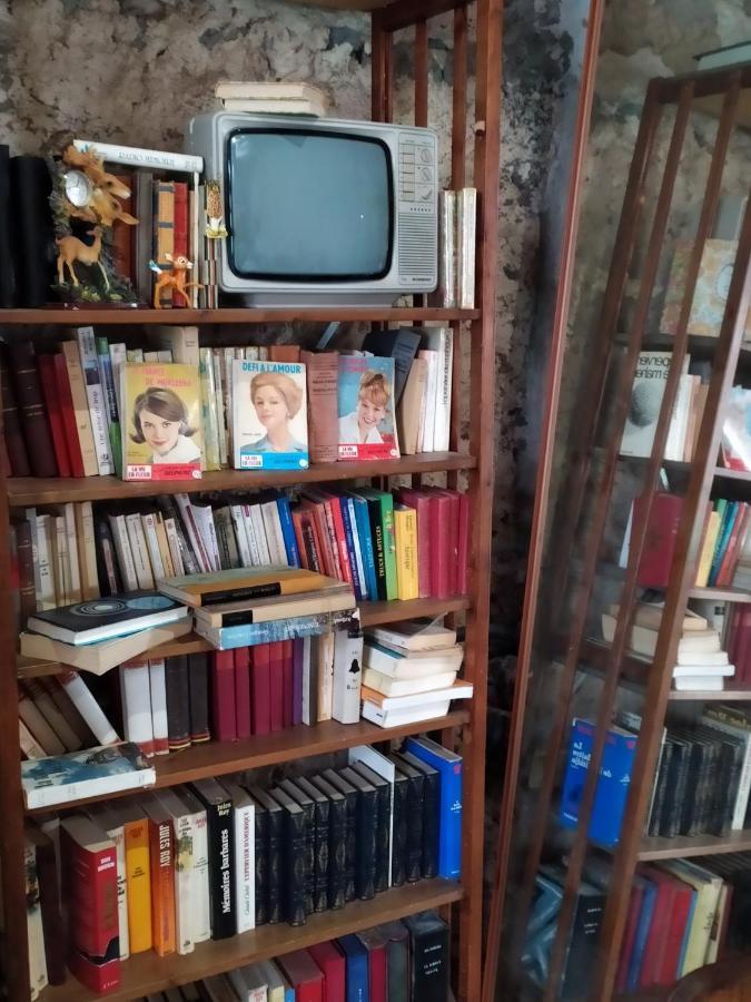 l'heureux bazar Villa Saint-Nectaire Kültér fotó