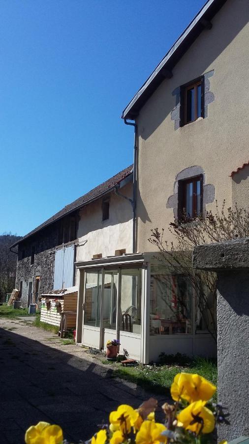 l'heureux bazar Villa Saint-Nectaire Kültér fotó